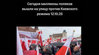 Перевірка факту: Мільйони поляків НЕ виходили на вулиці проти української влади
